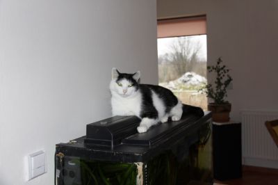 Klikněte pro zobrazení původního (velkého) obrázku