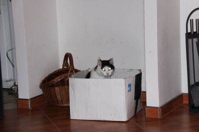 Klikněte pro zobrazení původního (velkého) obrázku
