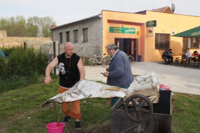 Klikněte pro zobrazení původního (velkého) obrázku