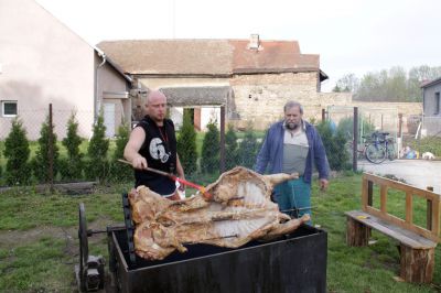 Klikněte pro zobrazení původního (velkého) obrázku