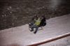 IMG_6832.JPG